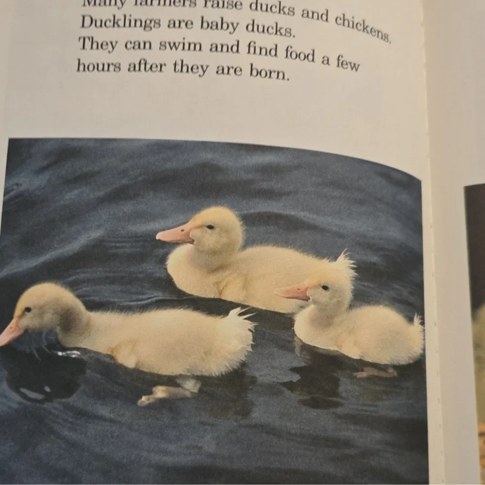 1980 Vintage‎ Book Sesame Street Grover's Book Of Cute Little Baby Animals